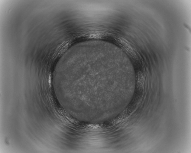 X0000097850502200804111131