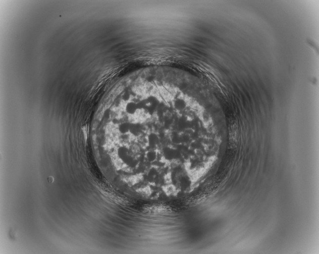 X0000097850503200804111131