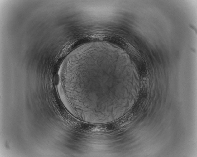 X0000097850504200804111131