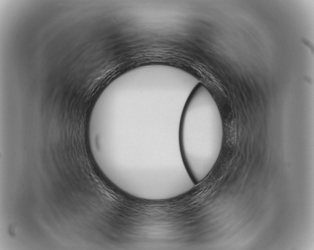 X0000097850505200804111131