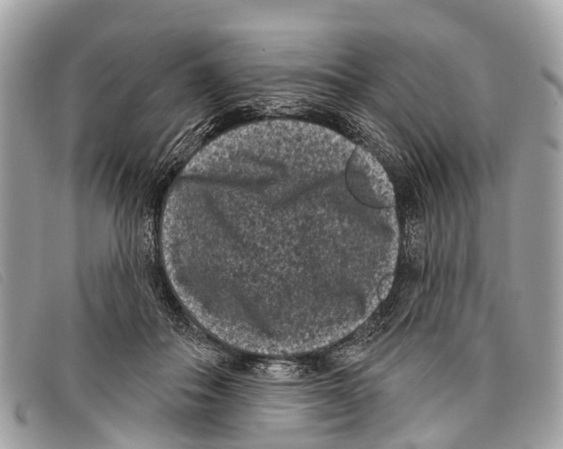 X0000097850506200804111131