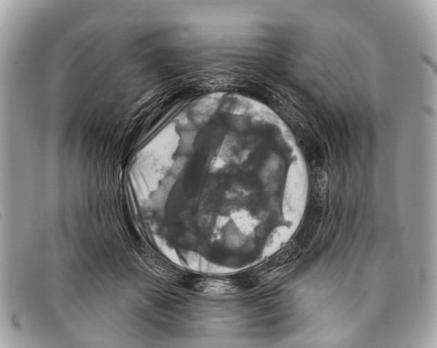 X0000097850507200804111131