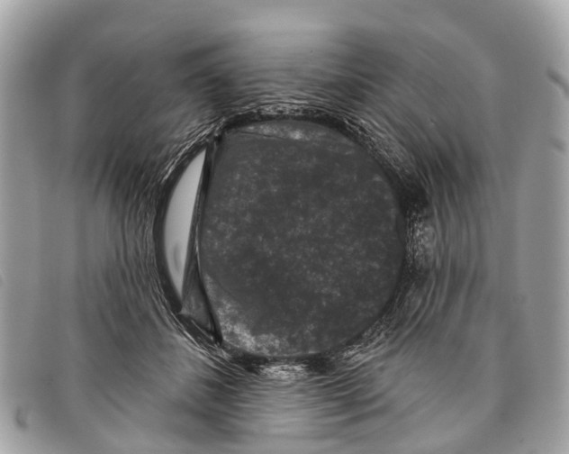 X0000097850508200804111131