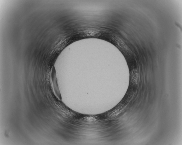 X0000097850509200804111131