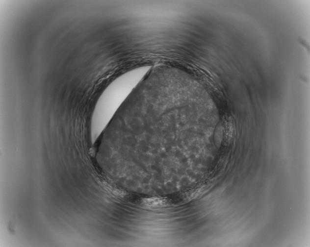 X0000097850511200804111131