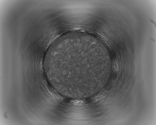 X0000097850512200804111131