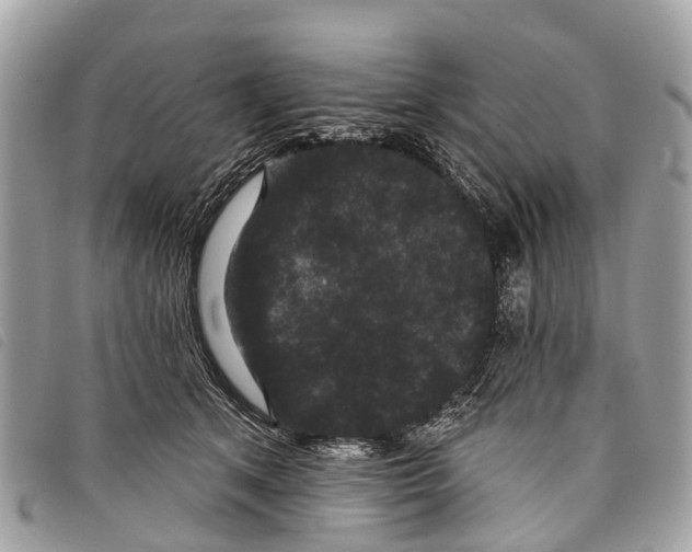 X0000097850513200804111131