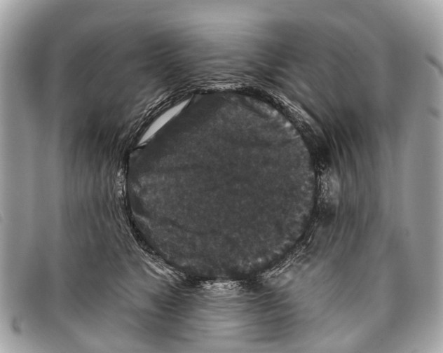 X0000097850517200804111131