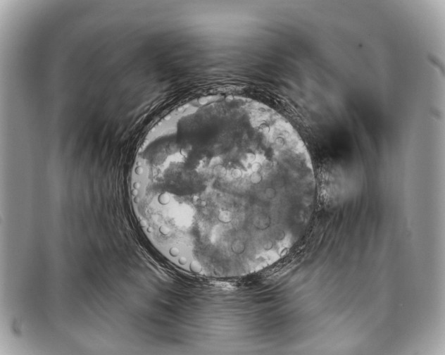 X0000097850519200804111131