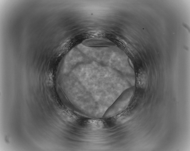 X0000097850520200804111131