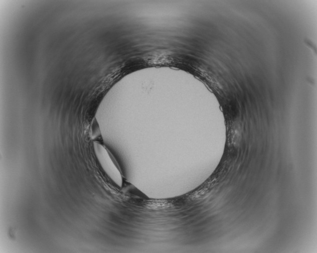 X0000097850521200804111131