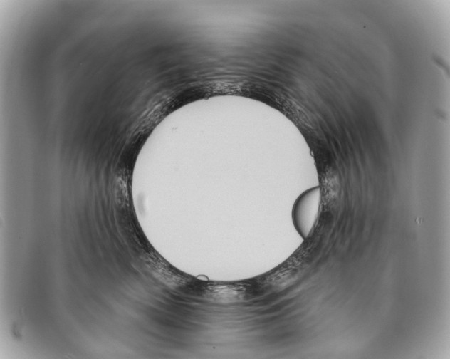 X0000097850522200804111131