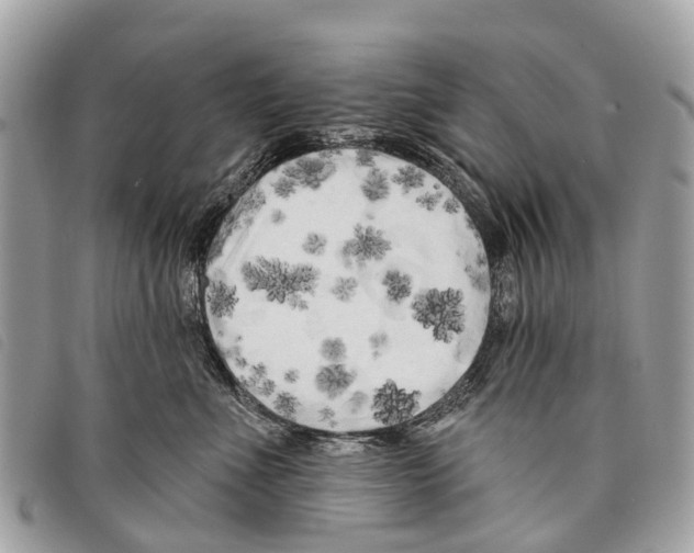 X0000097850523200804111131