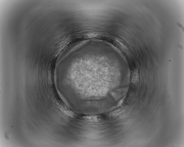 X0000097850524200804111131