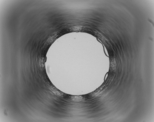 X0000097850525200804111131