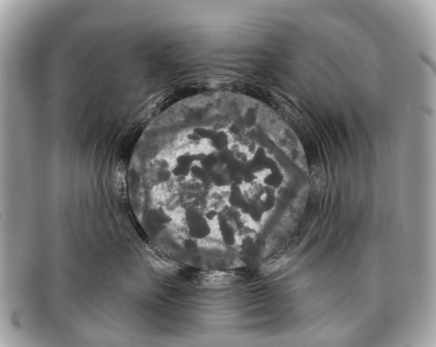 X0000097850527200804111131