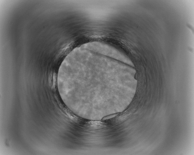 X0000097850528200804111131