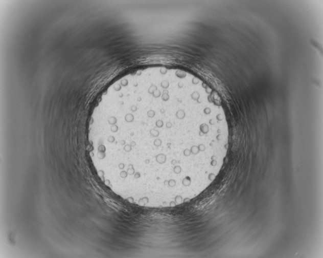 X0000097850529200804111130