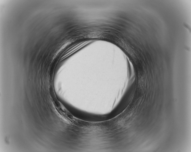 X0000097850530200804111130