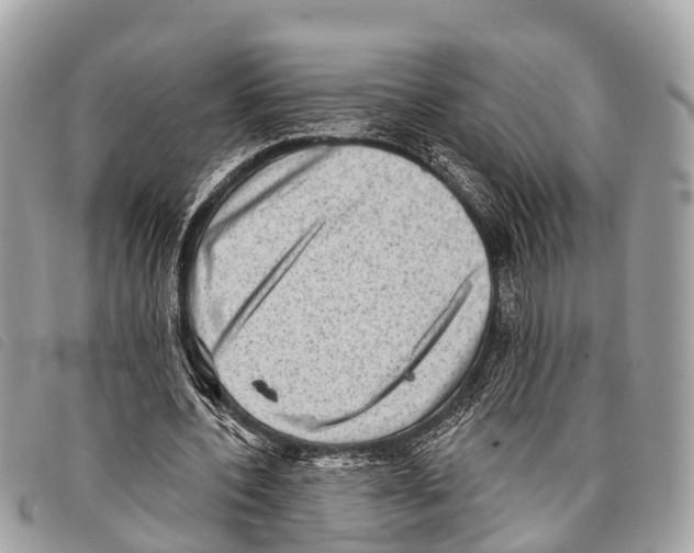 X0000097850532200804111130