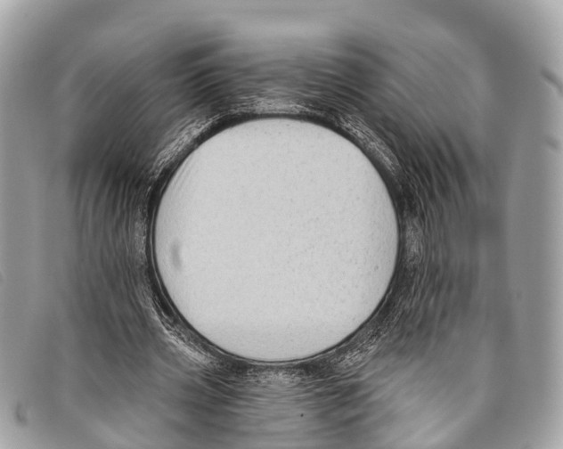 X0000097850533200804111130