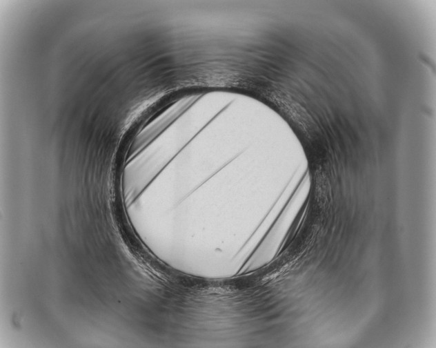 X0000097850536200804111130