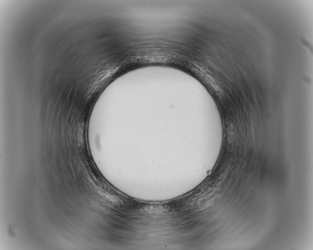 X0000097850537200804111130