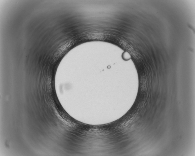 X0000097850538200804111130