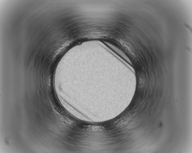 X0000097850539200804111130