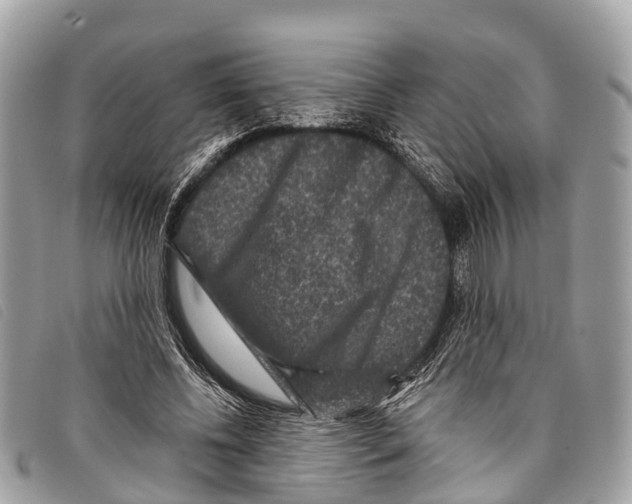 X0000097850540200804111130