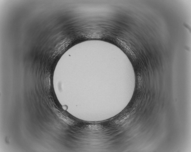 X0000097850541200804111130