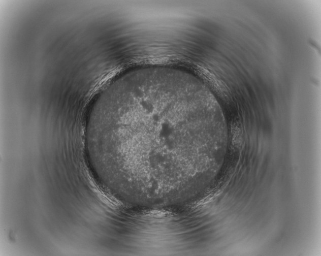 X0000097850542200804111130