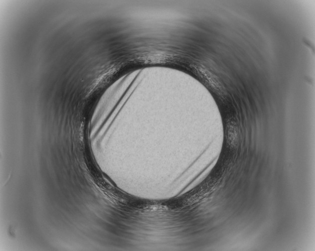 X0000097850543200804111130