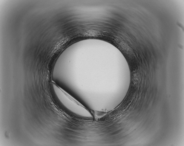 X0000097850544200804111131