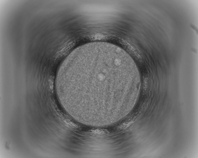 X0000097850545200804111131