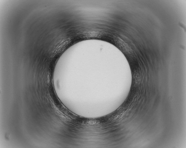 X0000097850546200804111131