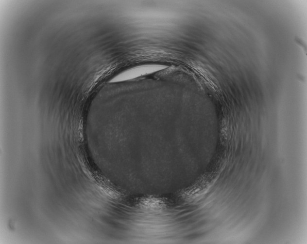 X0000097850547200804111131