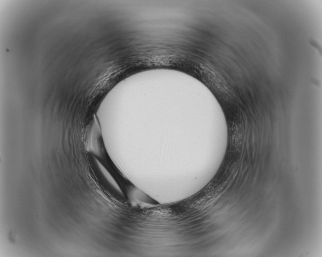 X0000097850548200804111131