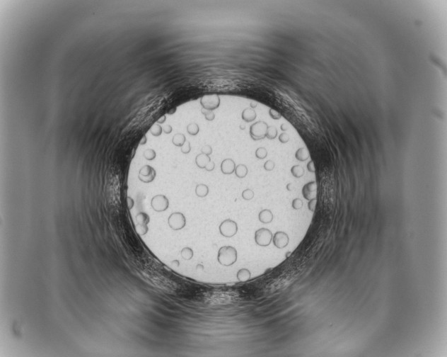 X0000097850549200804111131