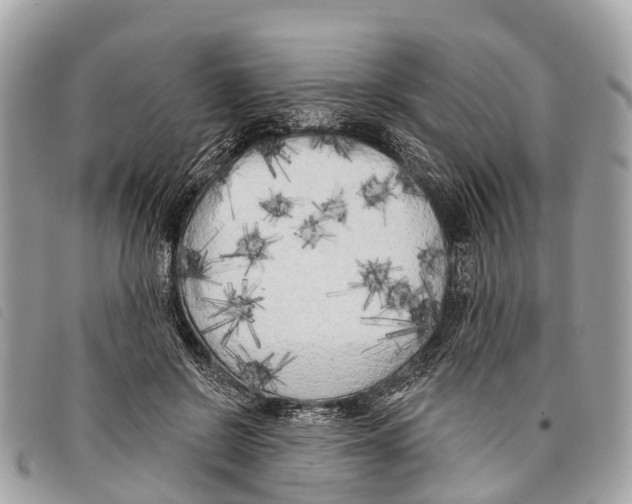 X0000097850550200804111131