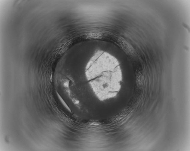 X0000097850551200804111131