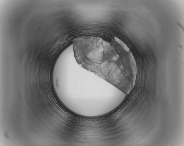 X0000097850553200804111131