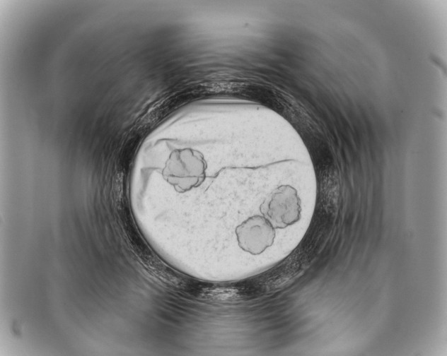 X0000097850554200804111131