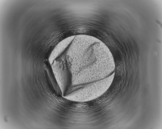 X0000097850555200804111131