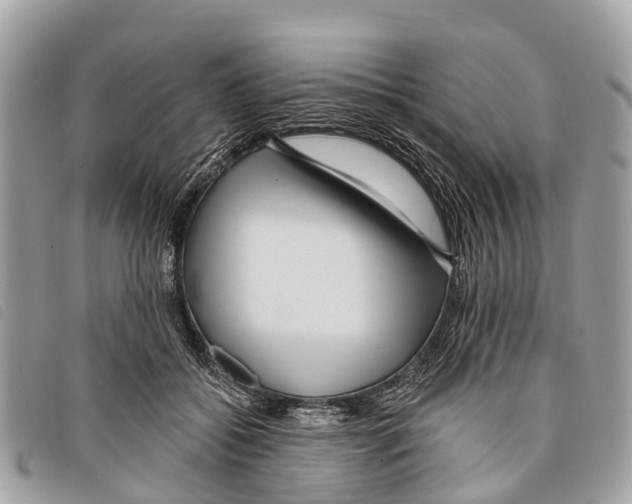 X0000097850556200804111131