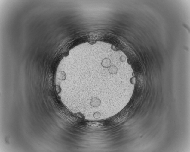 X0000097850557200804111131