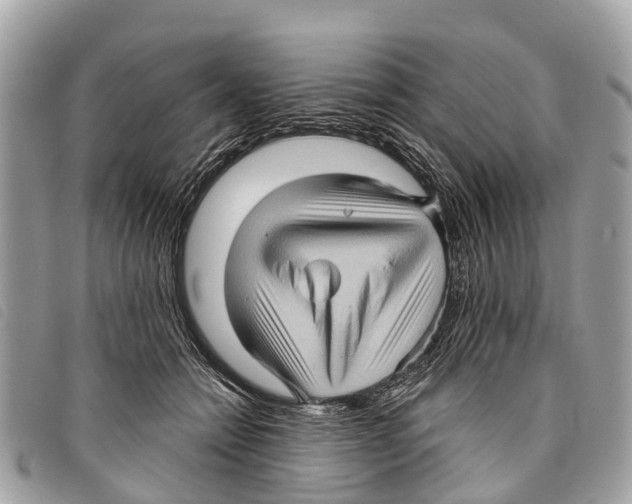 X0000097850558200804111131