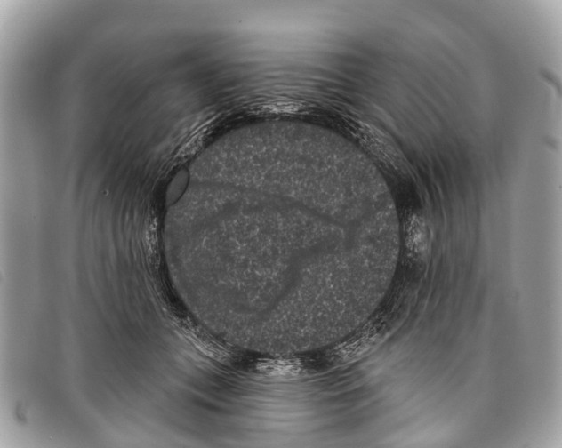 X0000097850559200804111131