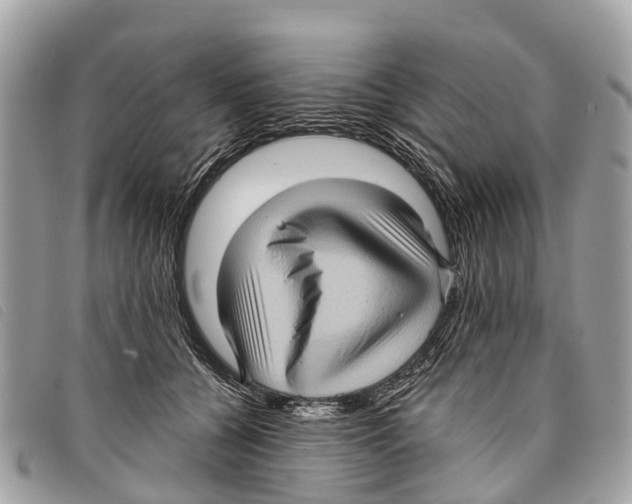 X0000097850560200804111131