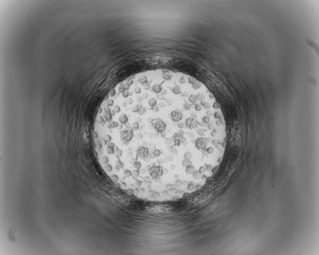 X0000097850561200804111131